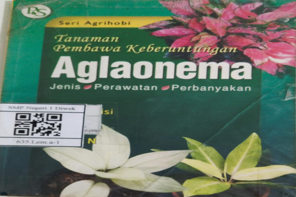 Aglaonema