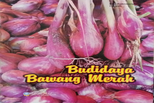 BUDIDAYA BAWANG MERAH