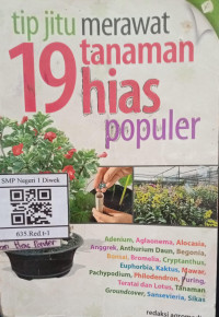 Image of TIP JITU MERAWAT 19 TANAMAN HIAS POPULER